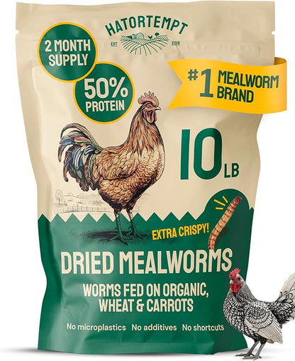 Hatortempt Bulk Dried Mealworms - 10 Lb Bag - Non-GMO Dried Mealworms for Chickens, Ducks & Wild Birds - High-Protein Chicken Feed & Bird Food