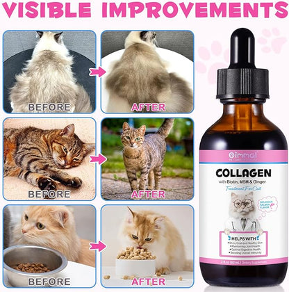 Collagen for Cats, Cat Collagen Liquid Drops for Cats with Biotin, MSM & Ginger Digestive & Immunity Support, Itch Relief, Skin & Coat and Joint Health, Cat Supplement 60ml ﻿