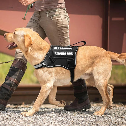 Service Dog Vest Harness and Leash Set+10 Patches,No Pull&Easy Walk Reflective Dog Harness with Soft Padded Handle for Training/Everyday,Fit Small/Medium/Large/Extra-Large Dogs(Black XL)
