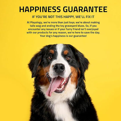 Playology Dog Toys | Dual Layer Bone Durable Chew Toy Bone for Dogs | Jumbo Sweet Potato Scented Toy - Easy to Clean and Made from Non Toxic Materials