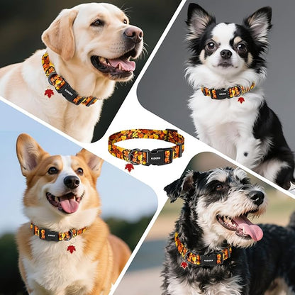 Kazazoo Dog Collar Cute and Soft Nylon Puppy Collar for Boy and Girl, Adjustable Dog Collars for Small Medium Dogs, Maple Leaf-M