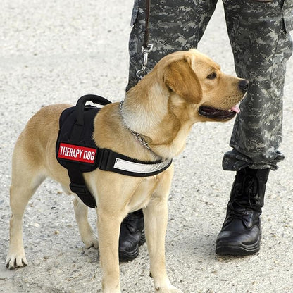 Pistha 12 Pieces Removable Service Dog Vest Patches Do Not Pet in Training Emotional Support Dog Vest Patches(3.6 x 1.6Inch)