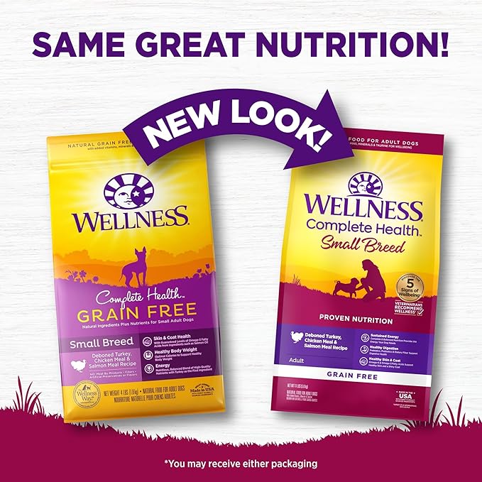 Wellness Complete Health Small Breed Adult Dry Dog Food, Grain Free Kibble, Chicken and Salmon Recipe, 11 lb Bag