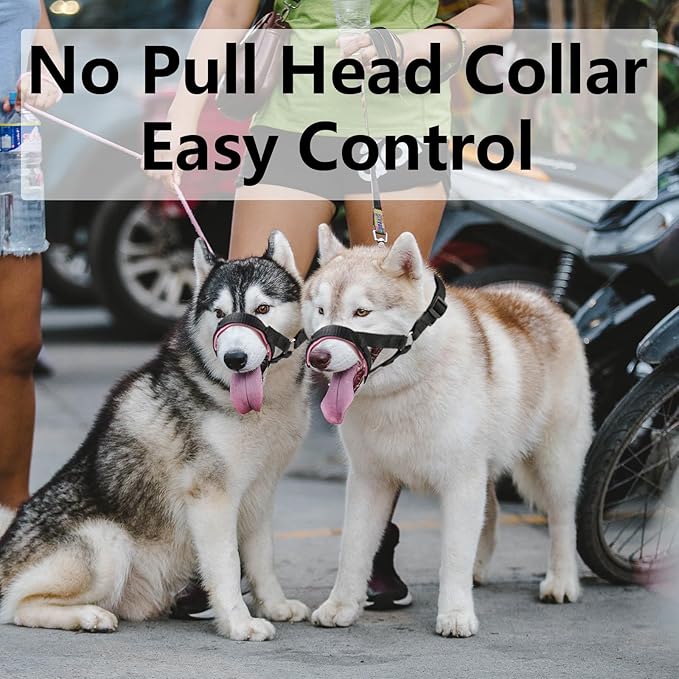 Dog Head Collar, Fabric Padded Head Collar for Dogs to Prevent Pulling, Head Leash for Small Medium Large Dogs Walking(S,Lake Blue)