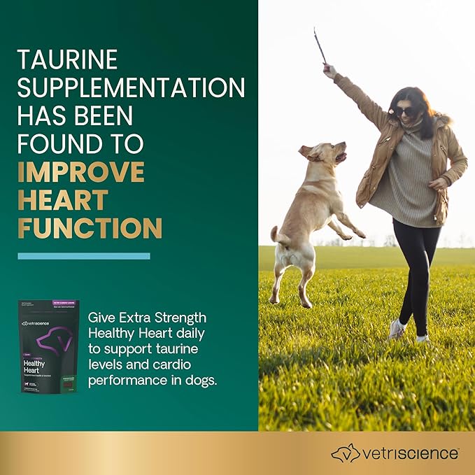 VetriScience Extra Strength Healthy Heart Chews, Vetri Cardio Supplement for Dogs, Cardio Support Supplement with Taurine, Carnitine, CoQ10, and Hawthorn, Chicken, 60 Count