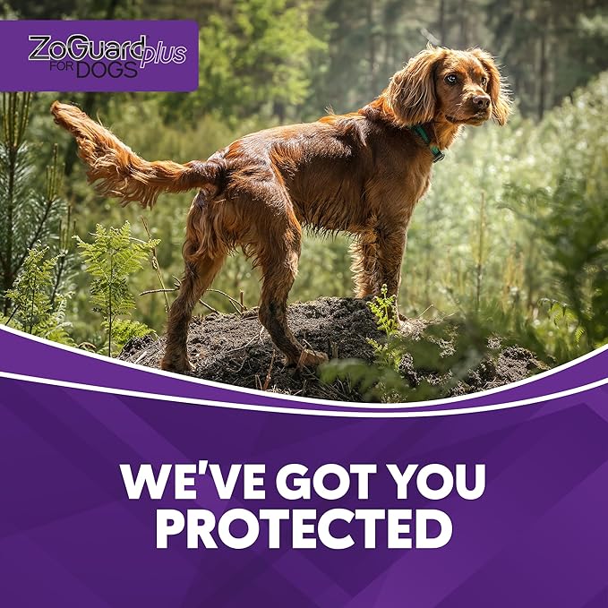 ZoGuard Plus Flea and Tick Prevention for Medium Dogs – Flea & Tick Prevention for Dogs 23-44lbs 12 Month Supply, Pack of 4