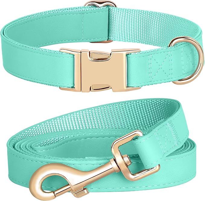 PET ARTIST Soft PU Leather Dog Collar and Leash Set, Bright & Stylish 5FT PU Leather Leash and Collar Set, Durable Pet Collars with Quick Release Metal Buckle for Large Dogs,Mint Green,L(16-27")