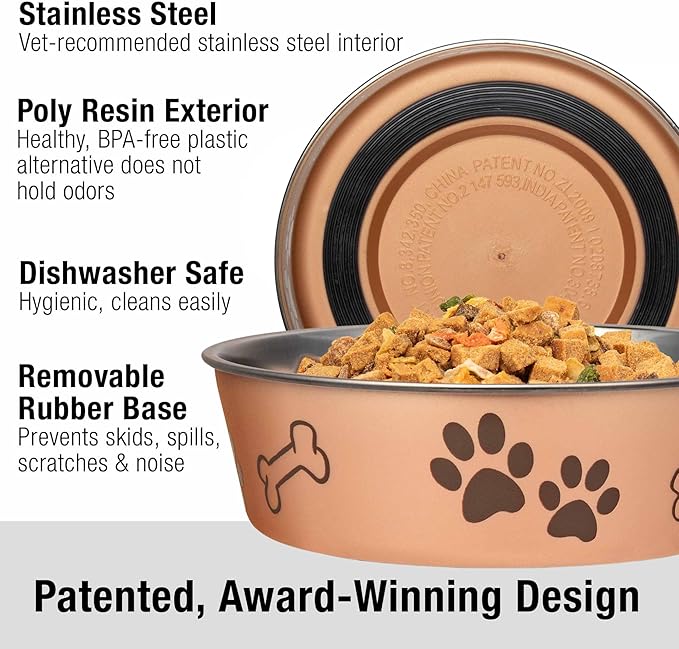 Loving Pets Bella Dog Bowls- Stainless Steel Dog & Cat Bowls - Spill Proof Dog Food Bowl, Cat Bowl, Puppy Essentials & Pet Supplies Great for Home & Travel (Small 10-20 lbs, Champagne)