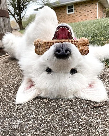 Nylabone Nubz Natural Dog Chews, Chicken Flavor Treats for Large Dogs, Long Lasting Dog Chew Bones Made in the USA, Rawhide Free, for Dogs Over 30 lbs. (8 Count)