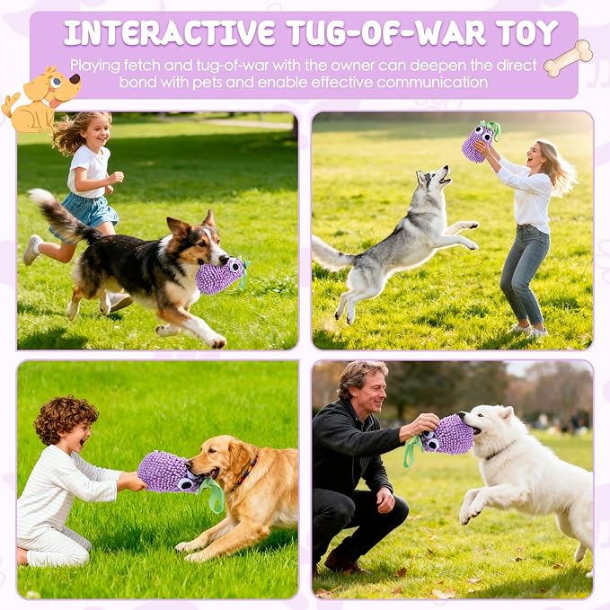 Squeaky Plush Dog Toy, Tug of War Dog Toy with Squeaker, Dog Chew Toys for Interactive Playing, Puppy Training Pull Toy Small Medium Breeds