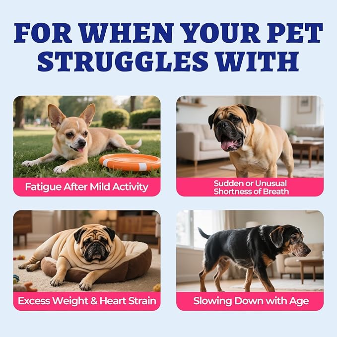 Wellix 260 Bites Cardio Taurine for Dogs - Heart Supplements for Dog Chews with CoQ10,Fish Oil,L-Carnitine - Senior Heart Health and Cardiovascular & Antioxidant Support