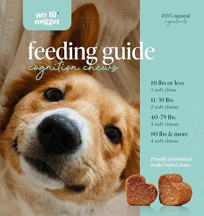 My Lil’ Nugget - Vet-Approved Mood & Cognition Chews for Dogs | All-Natural Dog Mental Health Support & Improve Memory | Lion’s Mane & Ashwagandha | Helps Puppy to Senior Dogs | 90 Salmon Flavor Chews