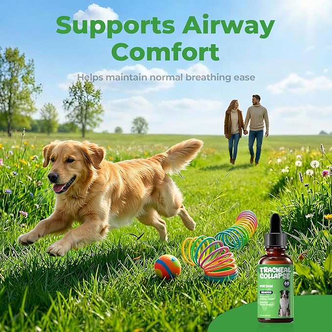 Dog Cough Relief - Collapsed Trachea Treatment for Dogs - Throat Calm Herbal Drops with Slippery Elm & Mullein - Trachea Supplement for Coughing & Airway Comfort