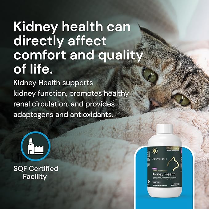 VetriScience Renal Essentials Pro Liquid - Kidney Functions & Maintenance Support Supplement for Cats - Health Supplement Aids Renal Blood Flow - Liquid Kidney Care Aid for Felines - 4 oz