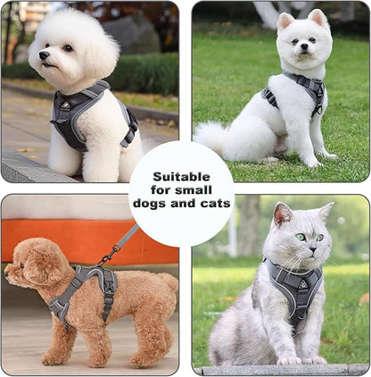 SOLMOONY Small Dog Harness,Soft Mesh Puppy Harness and Leash Set,No Escape Cat Harnesses for Training Walking,Reflective Adjustable Puppy Vest for Small Medium Dogs, Cats (Grey, M)