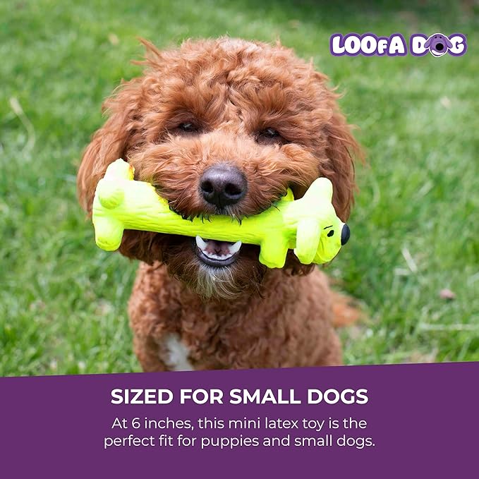 Multipet Original Loofa Latex Dog Toy - Squeaky Toy for All Dogs - Easy-to-Clean Squeaky Toys - Latex Dog Toys for Playing (1 Count, 6”, Random Color Surprise)