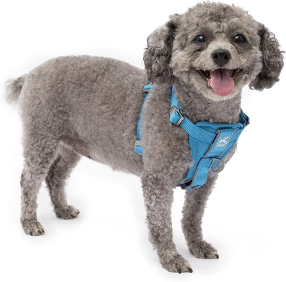 Kurgo Tru-Fit Smart Dog Walking Harness - Comfortable Fit - Adjustable Harness - Reflective Pet Wear - Quick Strap Release - Daily Walk Accessory - Includes Seat Belt Loop - Blue - Small