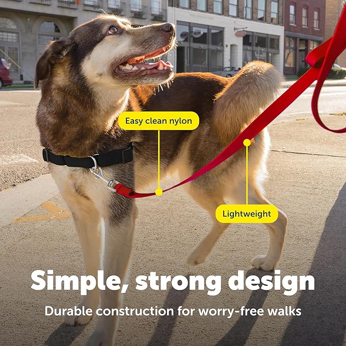 PetSafe Nylon Leash - Helps Maintain Secure Connection on Walks - Durable Pet Leash with Easy Clip - 1 in. x 4 ft. - Red