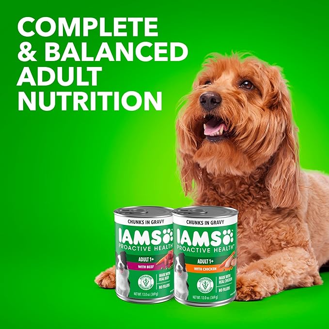 IAMS Proactive Health Wet Dog Food Adult, Canned Dog Food, Chicken Chunks in Gravy, 13 oz. Cans, Pack of 12