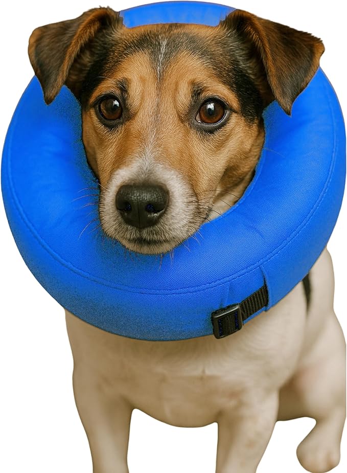 Iconikal Inflatable Dog Recovery Collar Small Blue 8-12 Inch Neck Adjustable Soft Donut E-Cone Alternative Post Surgery Injury Healing Protective