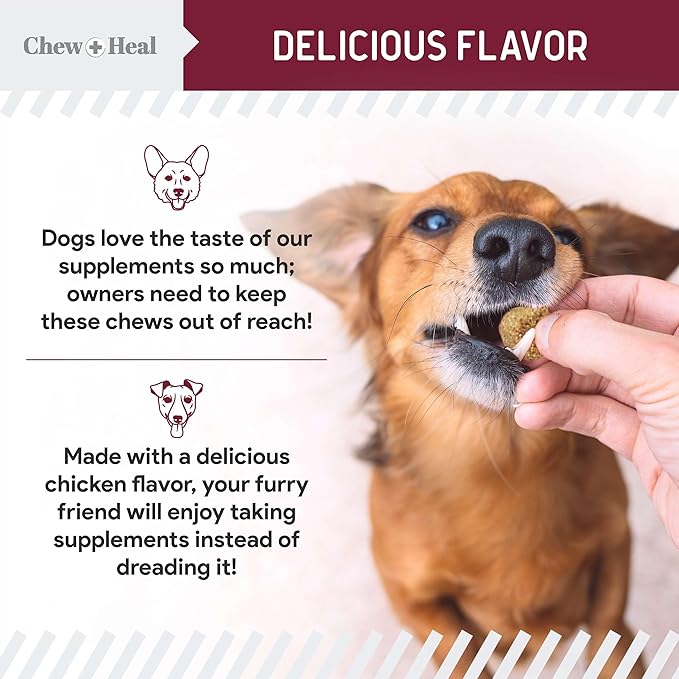 Chewable Flea and Tick Prevention for Dogs - 180 Delicious Soft Chews for Small and Large Dogs - Gluten, GMO, and Corn Free, Made in The USA