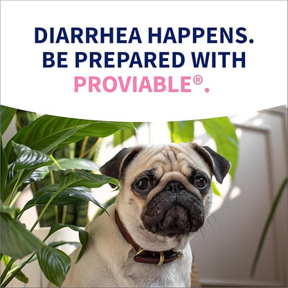 Nutramax Proviable Probiotics for Dogs, Diarrhea Support Kit, Digestive Health Supplement with Multiple Strains of Bacteria, Plus Prebiotics, Kaolin and Pectin, 30 ml Paste and 10 Capsules