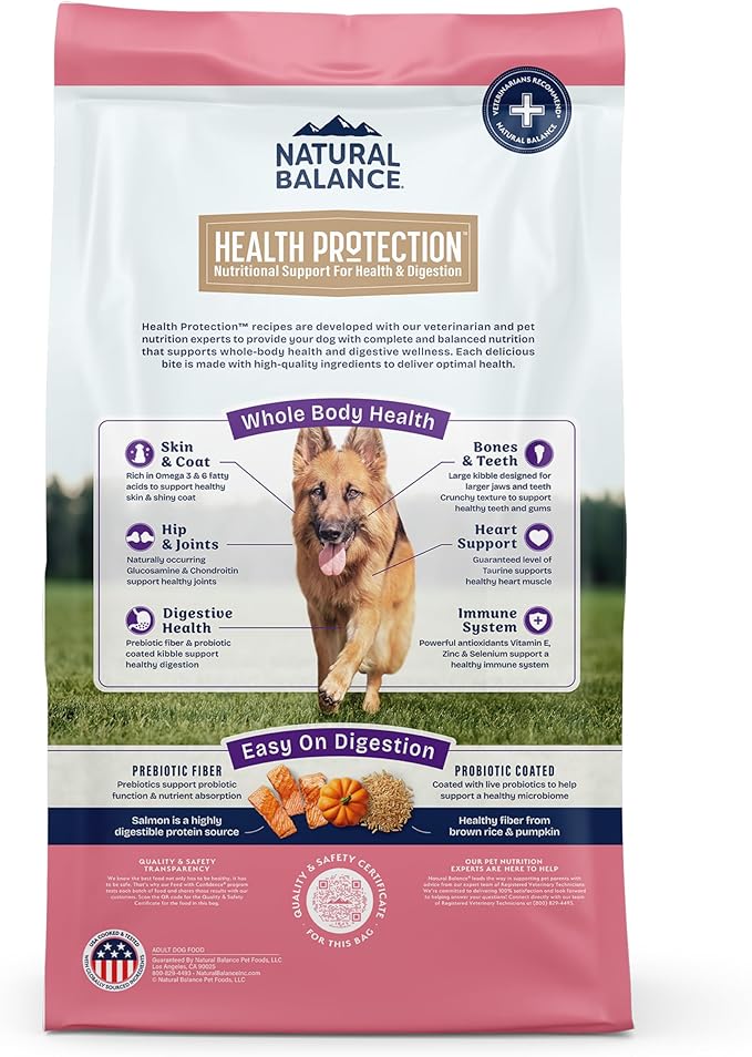 Natural Balance Health Protection Large Breed Dry Dog Food – Whole Body Health, Easy on Digestion Dog Food Made with Salmon, Brown Rice & Pumpkin for Dogs - 26lbs