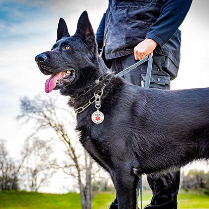 ESA Dog ID Tag Emotional Support Animal Easily Attach to Dog Collar, Harness (Small-0.98 inch)