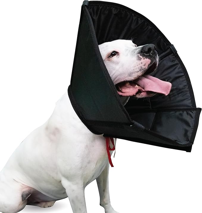 Dog Cone Collar Adjustable After Surgery, Protective Soft Dog Cone, Elizabethan Dogs Collar (Black, S Long [Neck Girth: 11.4"-14.2"])