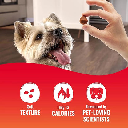 GOOD ‘N’ TASTY KABOB BITES, TREATS FOR DOGS