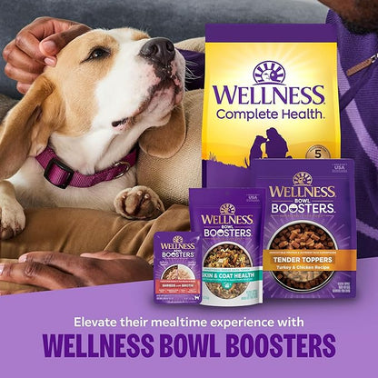 Wellness Complete Health Sensitive Skin and Stomach Dry Dog Food, Wholesome Grain Kibble, Natural, Chicken Free, Salmon and Rice Recipe, 38 lb Bag