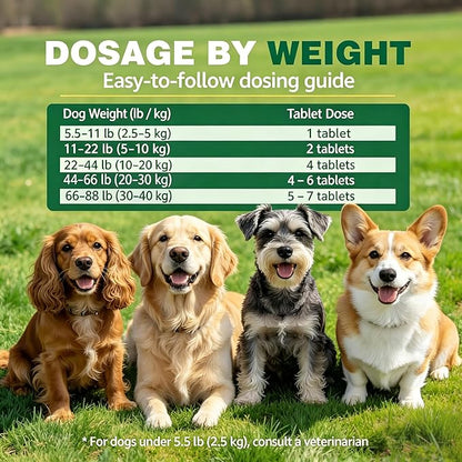 Dog Dewormer Pyrantel Pamoate, Chewable Tablets for Dogs & Puppies, Roundworms & Hookworms, Easy Dosing, 36 Tablets