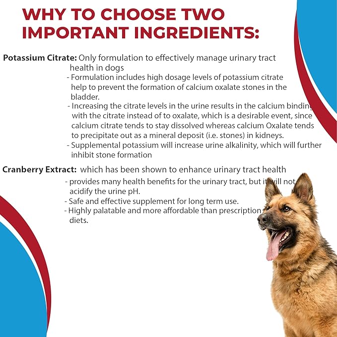 Potassium Citrate Plus Cranberry Supplement for Dogs (100 Tablets) - Urinary Tract Support-Helps Deter Formation of Calcium Oxalate Stones - Deters Bladder & Kidney Stones (Made in U.S.A)