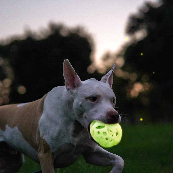 Chew King by Mammoth Glow-in-the-Dark Dog Fetch Balls (2-Pack), Lattice Rubber Fetch Toys for Night Play, High Bounce, Rechargeable Under Any Light, Large 4.5"