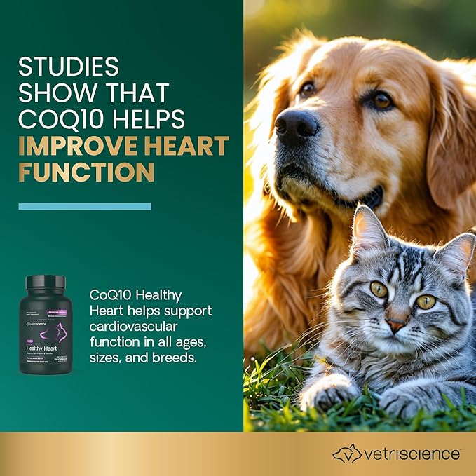 Vetri-Science VETRISCIENCE Coenzyme Q10 for Dogs and Cats, 10mg, 100 Capsules - Cardiovascular and Gum Health CoQ10 Supplement for Pets