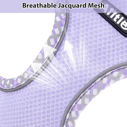 AIITLE Dog Harness and Leash Set - Ultra-Comfortable XXS-XL Vest with Strong Magic Tape & Glow-in-Dark Reflective Strips, Chafe-Free for Teddy, Schnauzer (Purple, M)