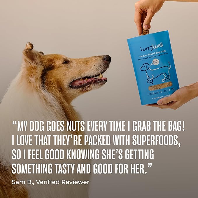 WagWell Freeze Dried Dog Treats, Beef + Yogurt + Sweet Potato Flavor | Training Treats, Food Topper, Healthy Snack for Dogs | Human Grade, Grain Free, High Protein | Made in USA | 4 oz Bag, 2 Pack