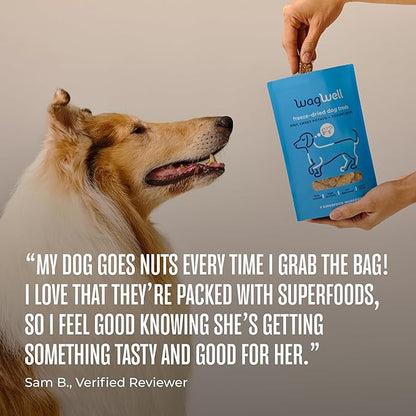 WagWell Freeze Dried Dog Treats, Beef + Yogurt + Sweet Potato Flavor | Training Treats, Food Topper, Healthy Snack for Dogs | Human Grade, Grain Free, High Protein | Made in USA | 4 oz Bag, 1 Pack