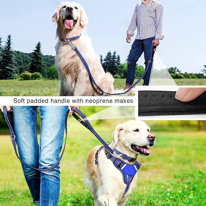 WINSEE All-in-One Reflective Dog Harness, Collar & Leash Set, No Pull with Adjustable Buckles, X-Large, Dark Blue