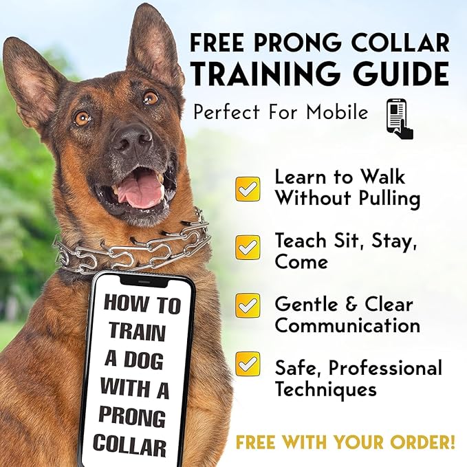 PetJett Prong Collar for Dogs - Choke Collar for Dogs, Pinch Collar for Dog, Adjustable Training Collar & Walking Tool for Small, Medium, or Large Breed - No Pull Stainless Steel Metal Choker Chain