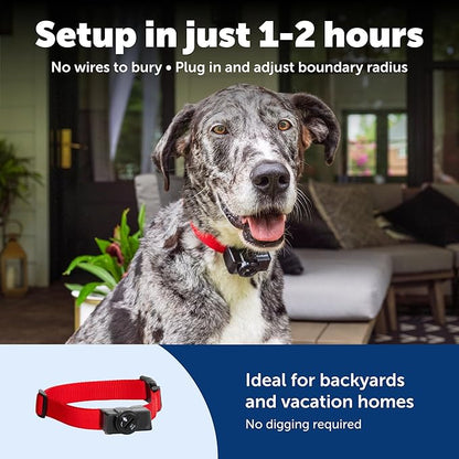 PetSafe Wireless Pet Containment System - Original Wireless Electric Fence for Dogs - Covers Up to 1/2 Acre - for Pets 8lb+