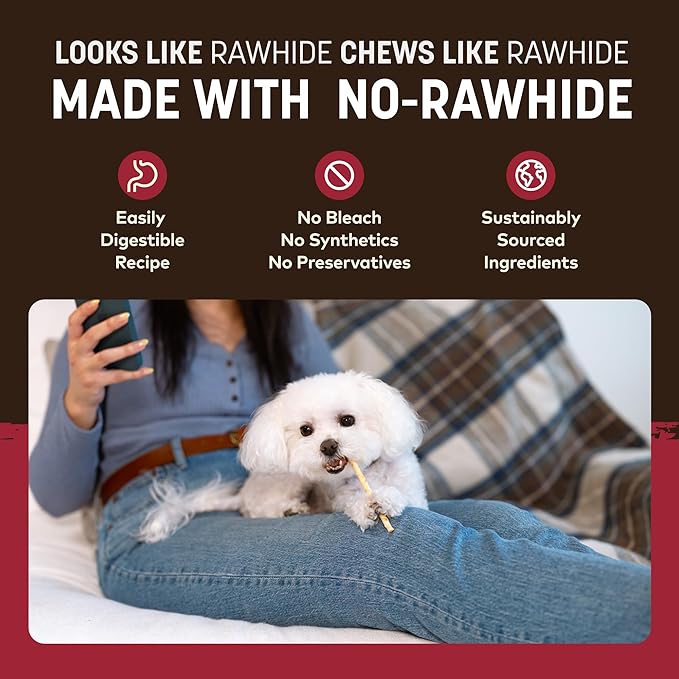 Earth Animal No Hide Stix - Long Lasting Rawhide Free Small Dog Chews Sticks, Beef - 10 Count