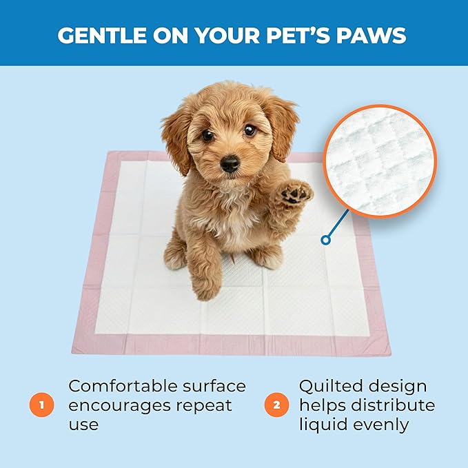 Best Pet Supplies Puppy Pads (22.5 x 22 Inches) - Disposable, Dog Training Potty, Super Absorbent Baby Pink Puppy Pee Pads for Dogs (300 Count)