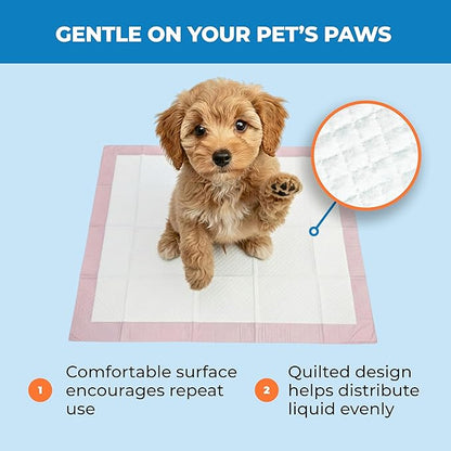 Best Pet Supplies Puppy Pads (22.5 x 22 Inches) - Disposable, Dog Training Potty, Super Absorbent Baby Pink Puppy Pee Pads for Dogs (300 Count)