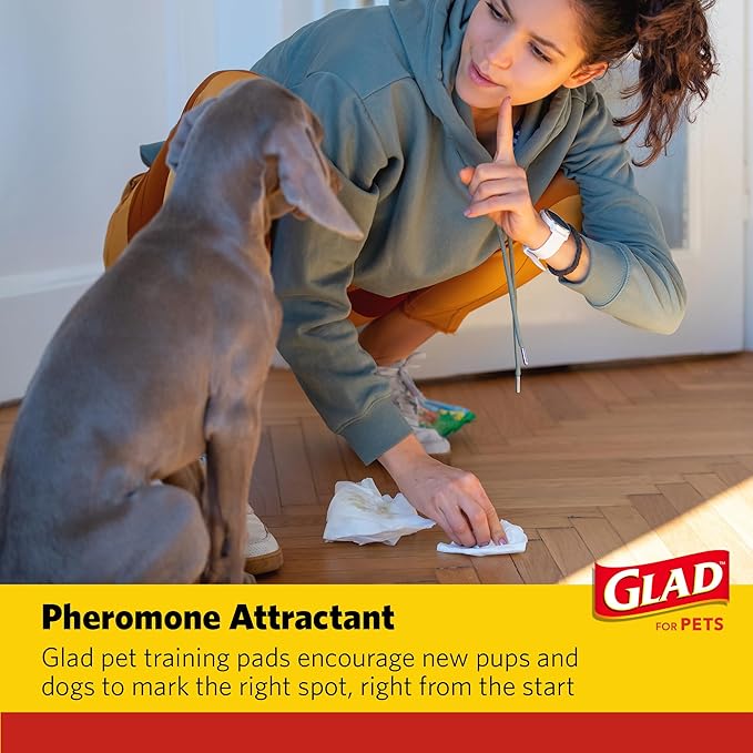 Glad for Pets Day to Night Activated Carbon Puppy Training Pads, Odor Control Disposable Dog Pads with Adhesive and Wall Protection, Leak Proof and Super Absorbent, 30 x 36 Inch, 24 Count - 6 Pack