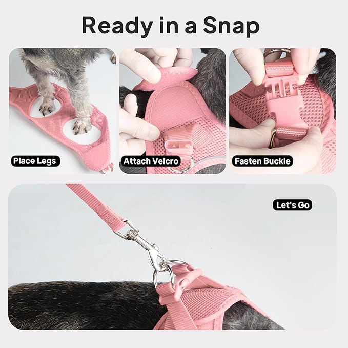 PetiFine Step in Small Dog Harness and Leash Set, Breathable All Weather Air Mesh Reflective Escape Proof, Step-in Vest Harnesses for Puppy(XS, Pink)