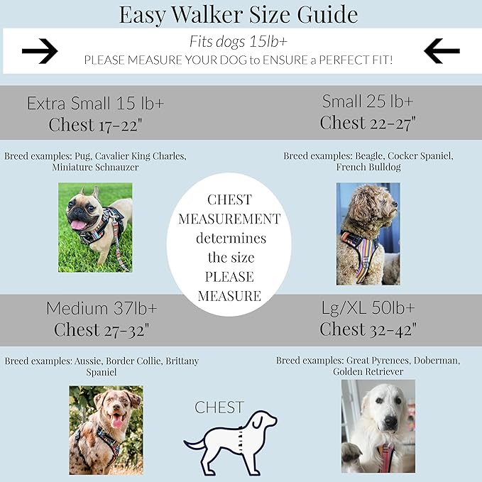 Lucky Love Dog No Pull Dog Harness, Adjustable and Easy to Walk, Cute Patterned Harness for SmallMale & Female Dogs - Blackbird, Small