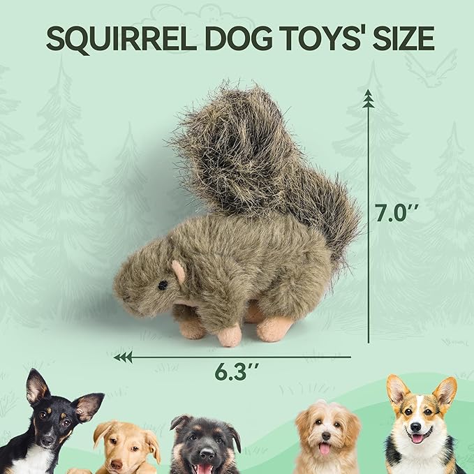 ALL FOR PAWS Classic Squirrel Pet Toys, Small