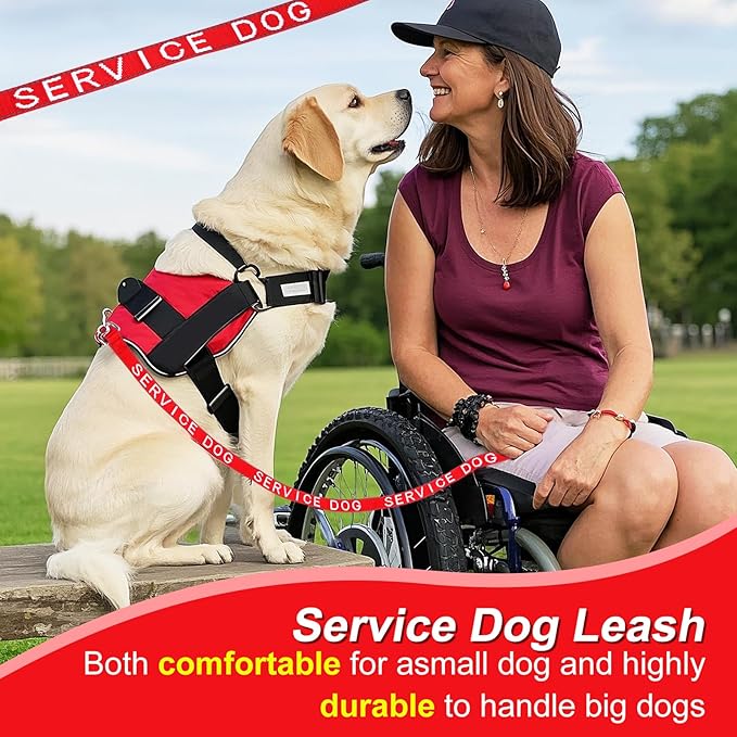 YeeBeny Service Dog Leash, Emotional Support Leash with Neoprene Handle and Reflective Lettering, Service Dog Stuff for Vest for Harnesses, Vests or Collars,Red