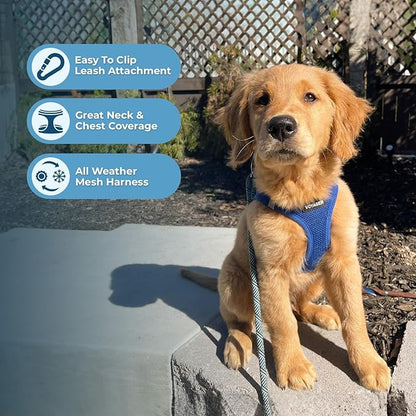Best Pet Supplies Voyager Step-in Air All Weather Mesh Harness and Reflective Dog 5ft Leash Combo with Neoprene Handle, for Small, Medium and Large Breed Puppies - Set (Royal Blue), Medium